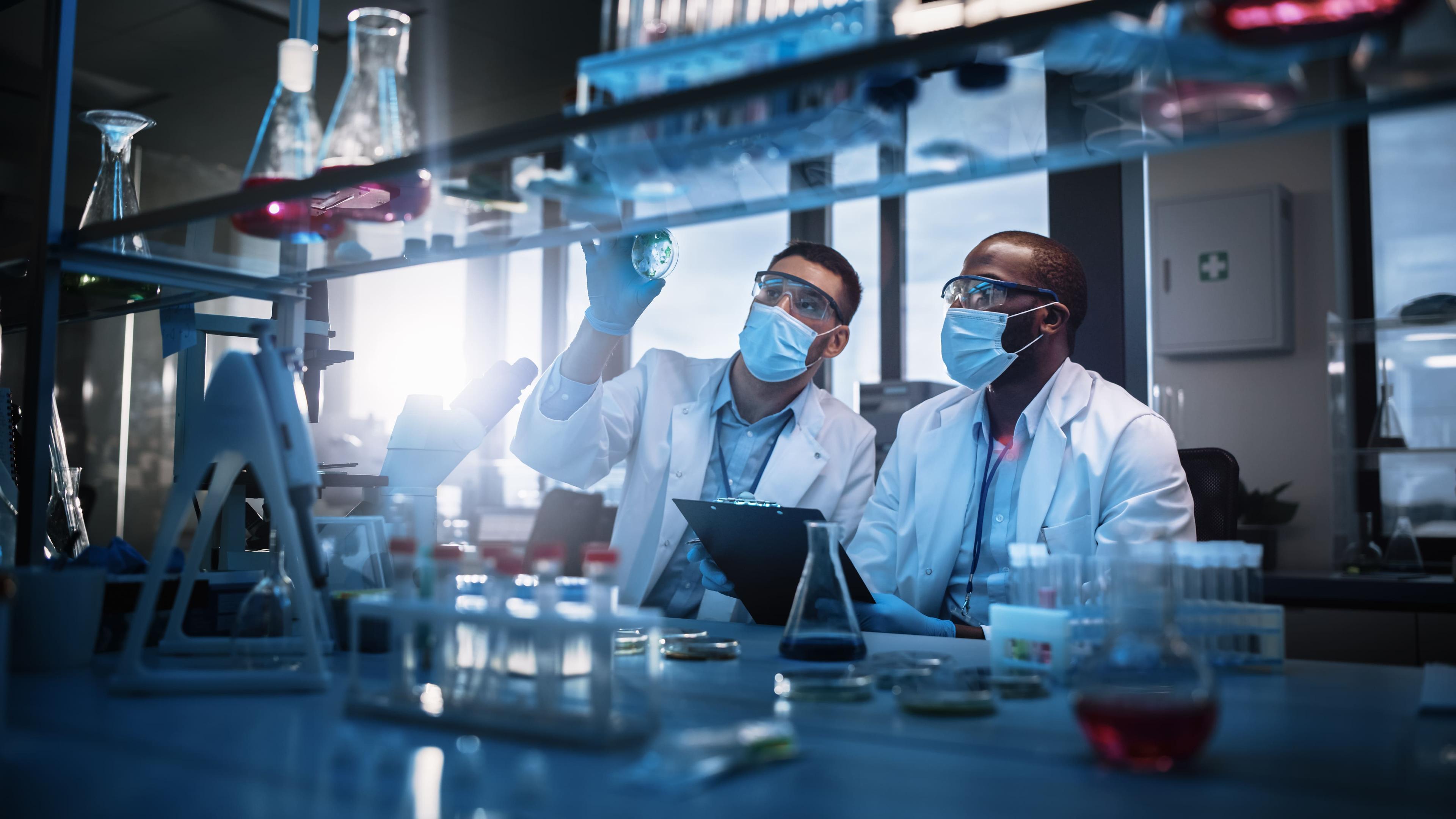 Por dentro da graduação em Biomedicina