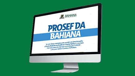 [Infográfico] Entenda como funciona o PROSEF