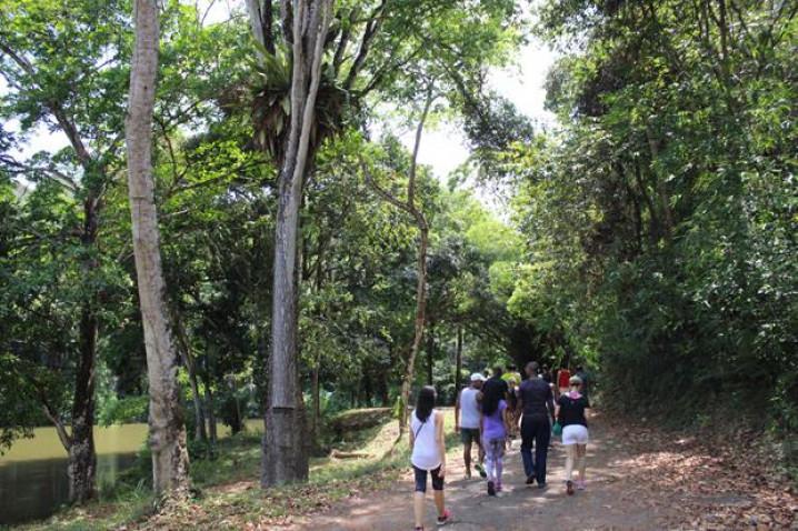fotos-i-caminhada-ecologica-da-bahiana-05122015-95-jpg